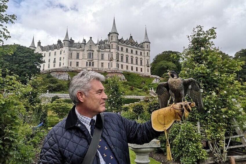 Dunrobin Castle and Falconry