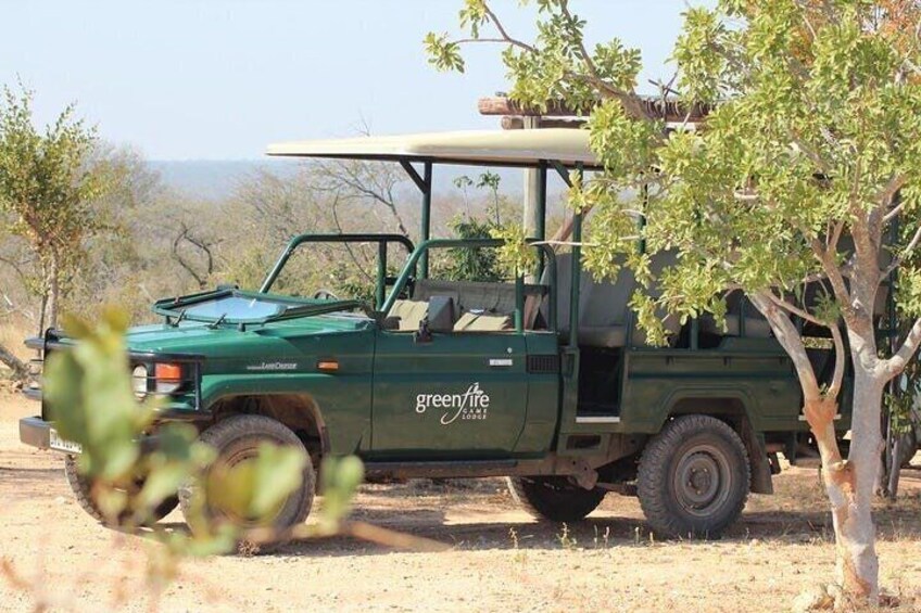 Pretoria and Lion Park Safari Experience