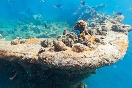 Coron Reefs & Wreck Private Tour