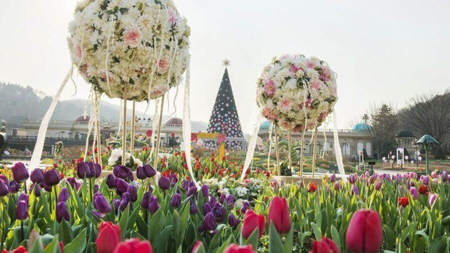 Everland Resort