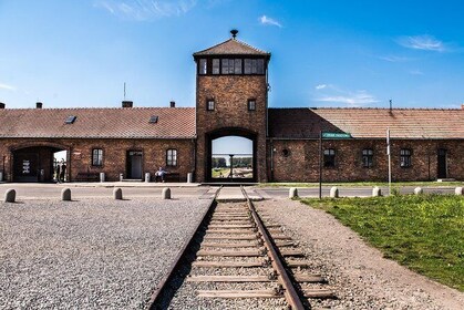 Day Trip to Auschwitz-Birkenau and Wieliczka Salt Mine from Krakow includin...