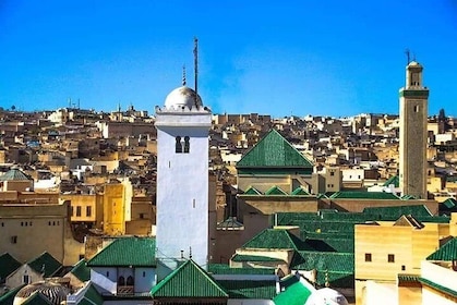 Tour di mezza giornata nella Medina di Fez con guida (privata)