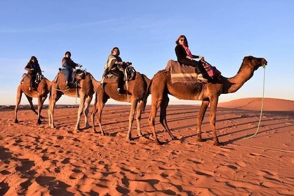 Trip To Sahara Days 3 / 2 Nights From Fez To Marrakech ( Luxury )