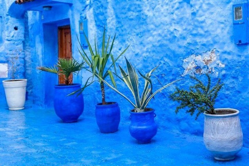 Day Trip To Chefchaouen , Small Group