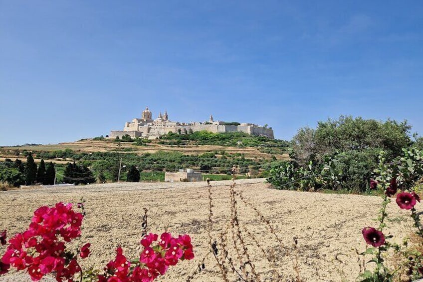 Mdina and Rabat Food and History Tour