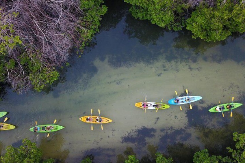 Puerto Rico Bio Bay Kayak Adventure Tour