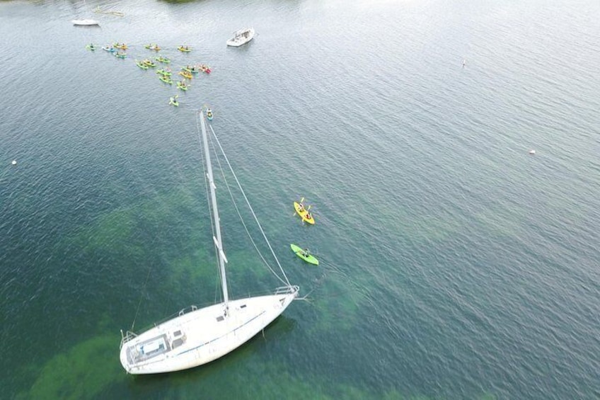Bio Bay Kayak Tour in Puerto Rico