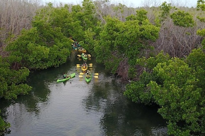 Excursion aventure en kayak dans la Bio Bay de Porto Rico