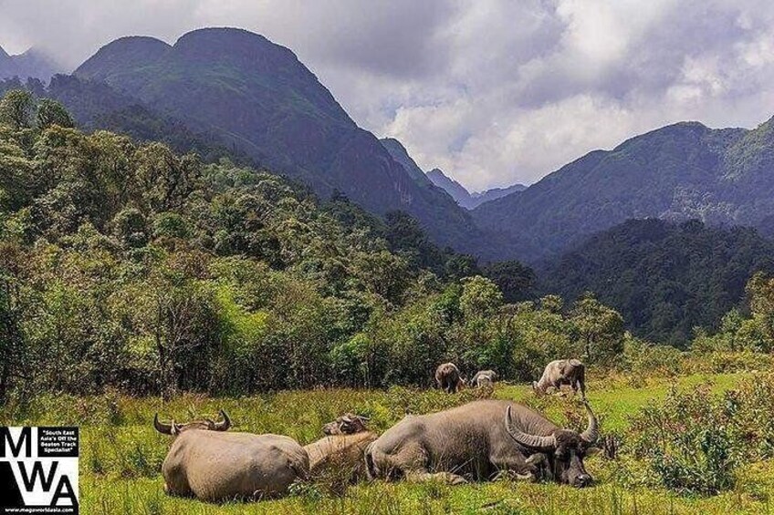 Dalat Countryside Tour $ Elephant falls