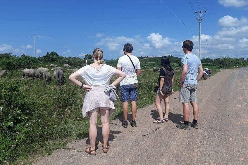 Dalat Countryside Tour $ Elephant falls