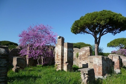 Ostia Antica Guided Tour Including the Ancient Theatre and Baths