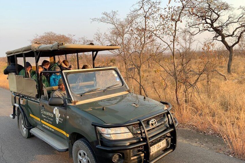 Ultimate Private Safari to Pilanesberg National Park From Johannesburg