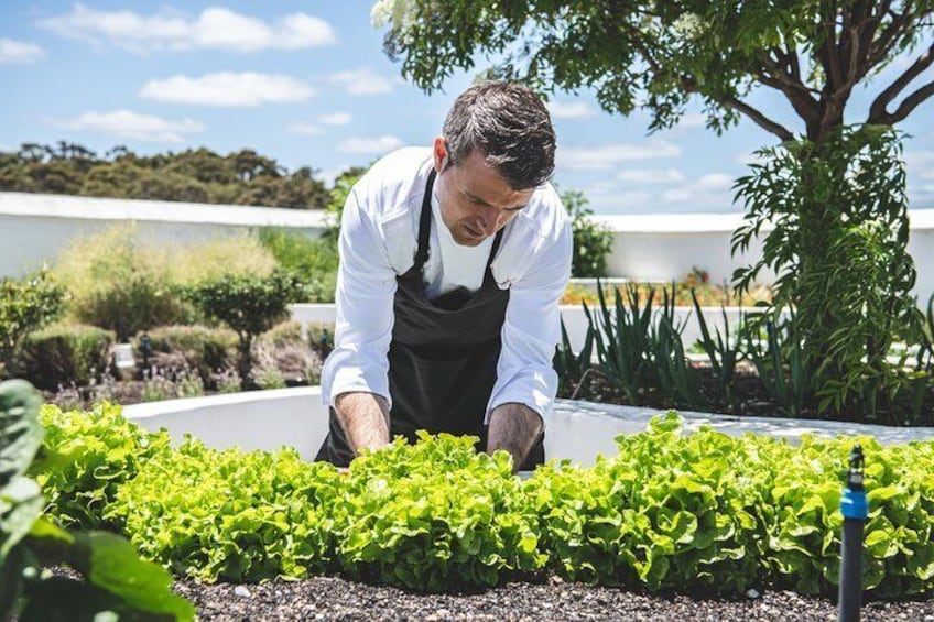 Head Chef, Santi Fernandez carefully pairs each dish with one of our wines
