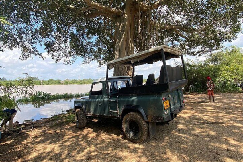 One Day Udawalawe Safari from Galle/Mirissa/Unawatuna/Hikkaduwa