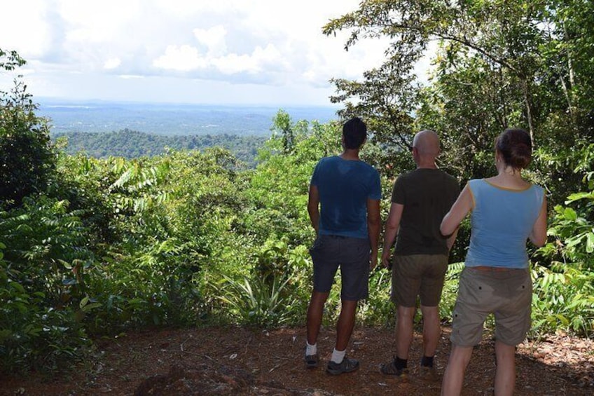 Full-Day Brownsberg Nature Park Tour