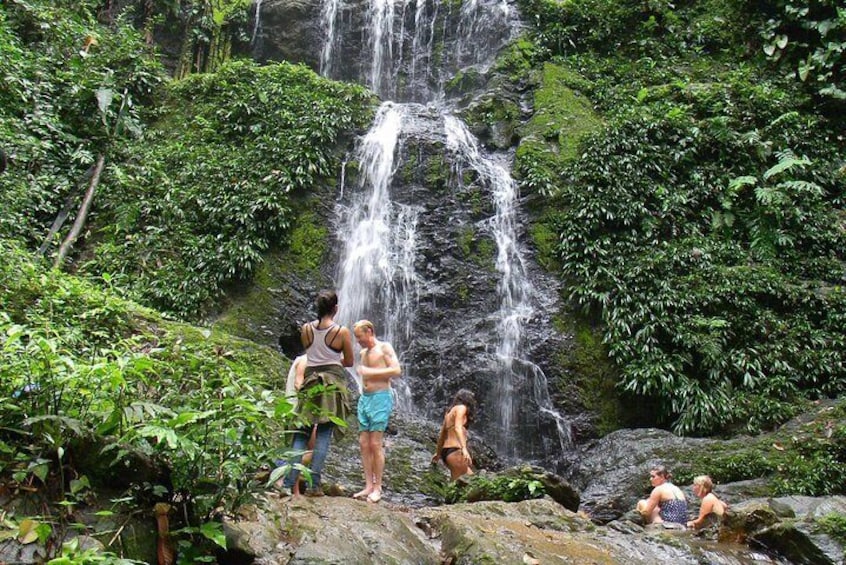 Full-Day Brownsberg Nature Park Tour