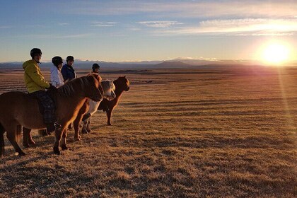 Horseback Riding in the Icelandic Meadows with Mountain Views