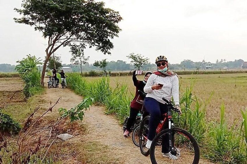 Cycling through rice fields