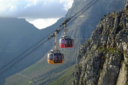 Degustazione di vini privati Table Mountain, Kirstenbosch e Constantia.