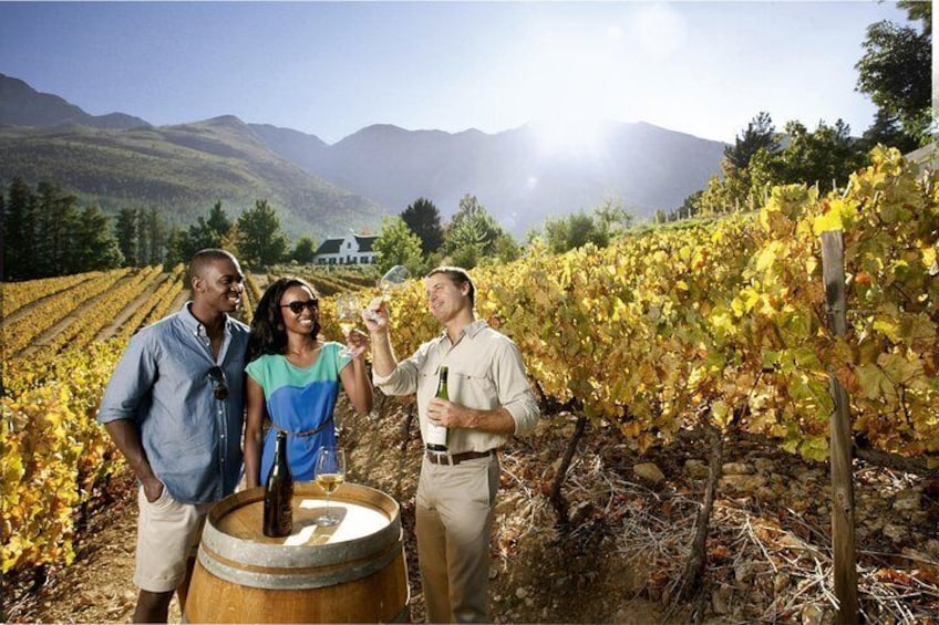 Private wine tasting