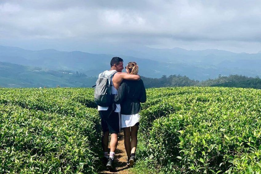 Hiking and Bird watching in Nuwara Eliya