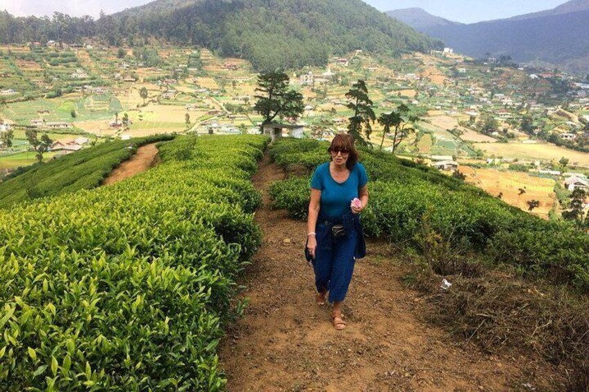 Hiking and Bird watching in Nuwara Eliya