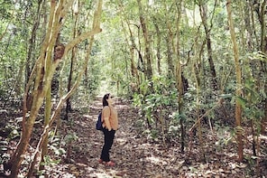 Suranadi Forest Trekking and Holy Swimming