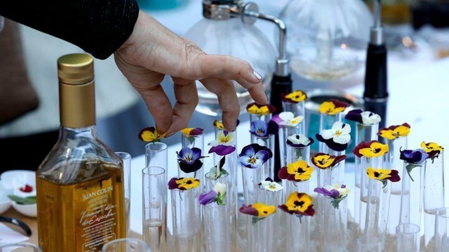 Olive Oil tasting breakfast & Tour in Cordoba
