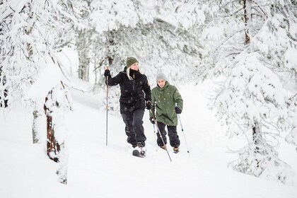Classic Wilderness Skiing in the Pyhä-Luosto National Park
