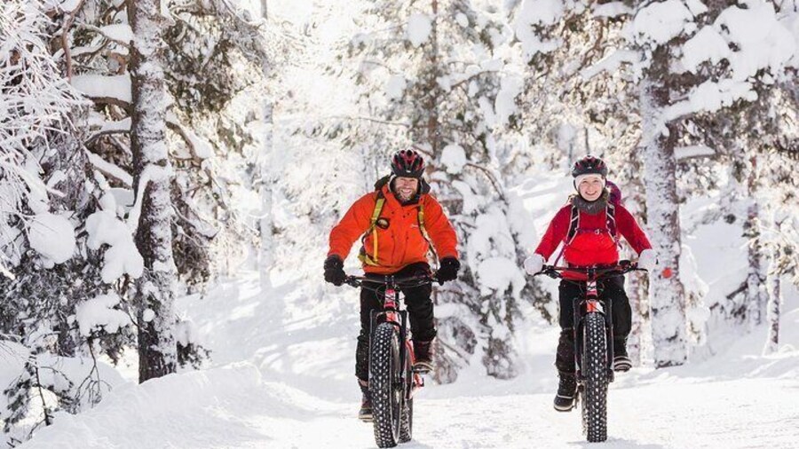 Electric Fatbike Tour in the Pyhä-Luosto National Park