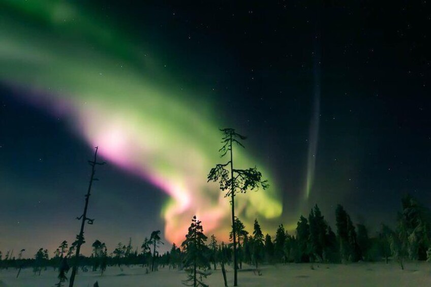 Capturing Auroras in Pyhä