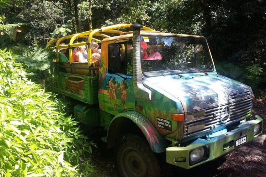 Half Day Jeep Safari