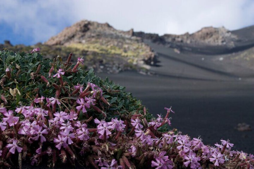 Mount Etna Excursion + Visit to the Lava Tubes