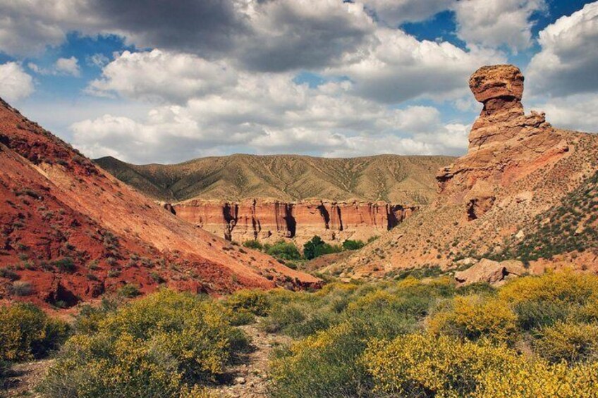 One day tour to Charyn canyon