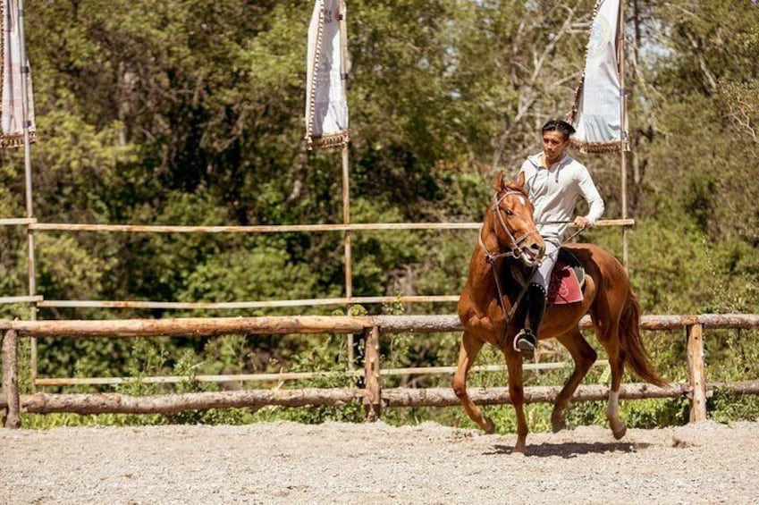 Discover nomadic lifestyle in 'The Huns' Ethno-village