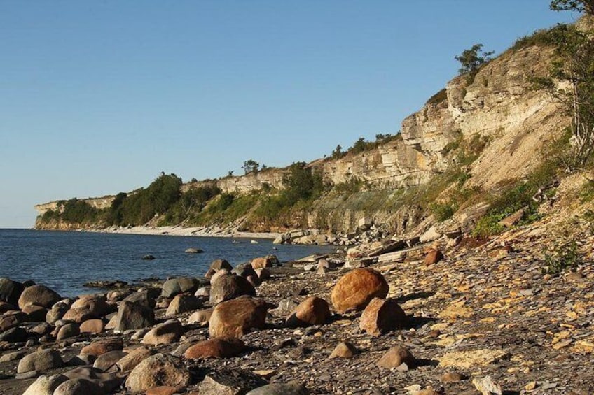 Estonian Seaside