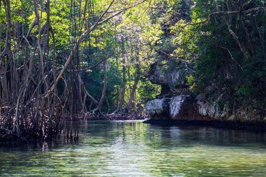 Full-Day at Los Haitises National Park 3