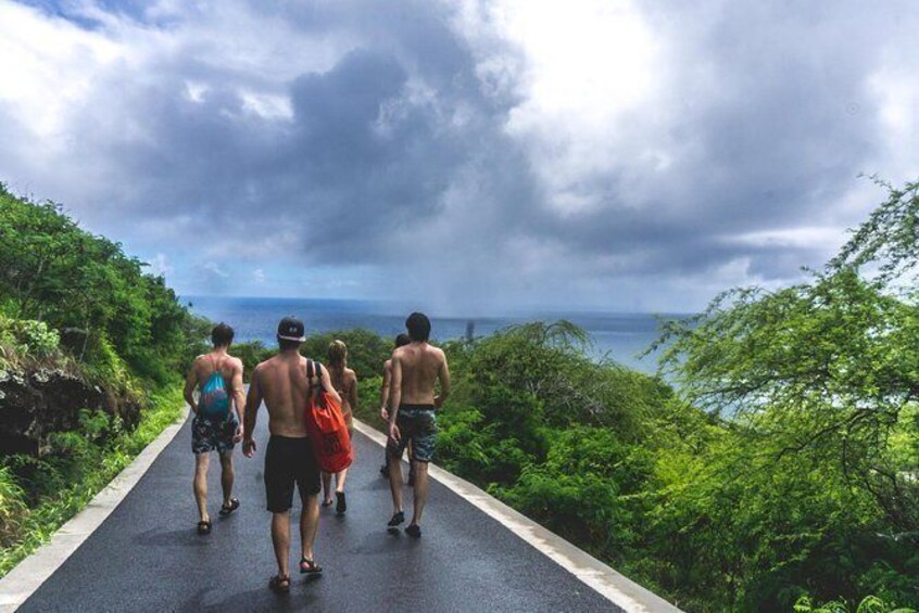 Full-Day at Los Haitises National Park