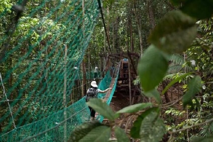 Hanging bridge