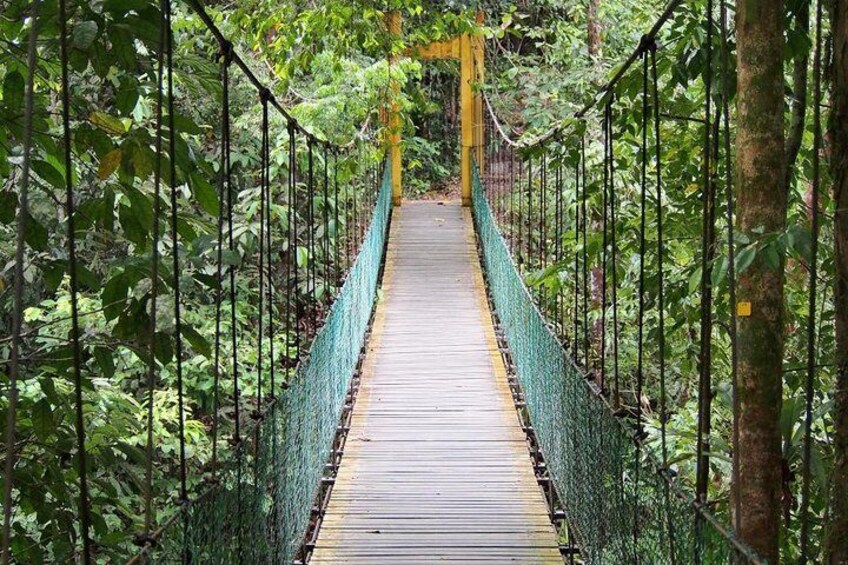 Hanging bridge