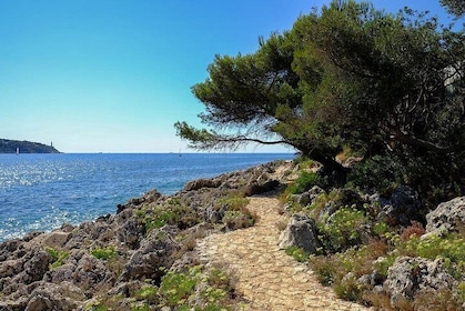 Picturesque walk from Nice to Villefranche sur Mer with pic-nic and swim