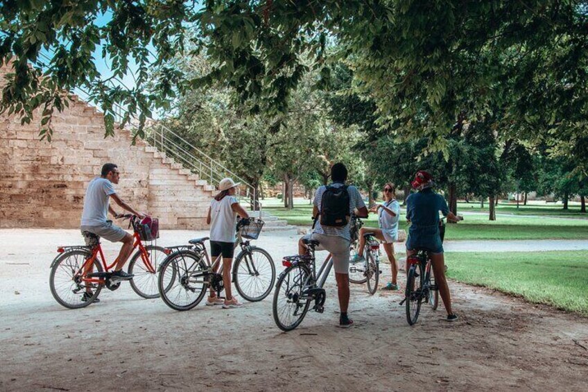 Valencia al completo en Bicicleta