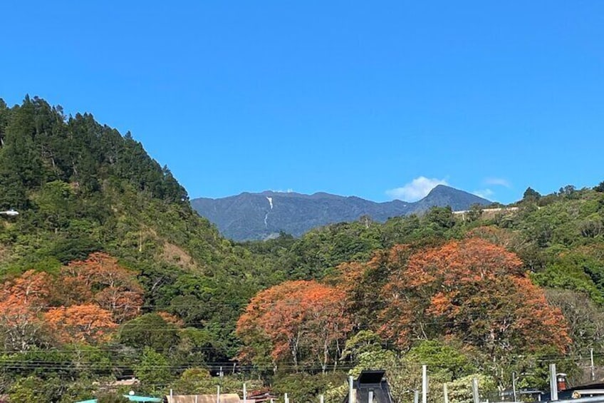E-bike Tour - 2hr Guided Adventure in Boquete