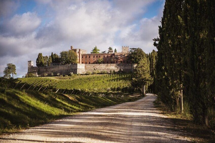 ItalyBestExcursions Livorno Port Shore Excursion: Siena and Chianti Castle with Lunch&WineTasting