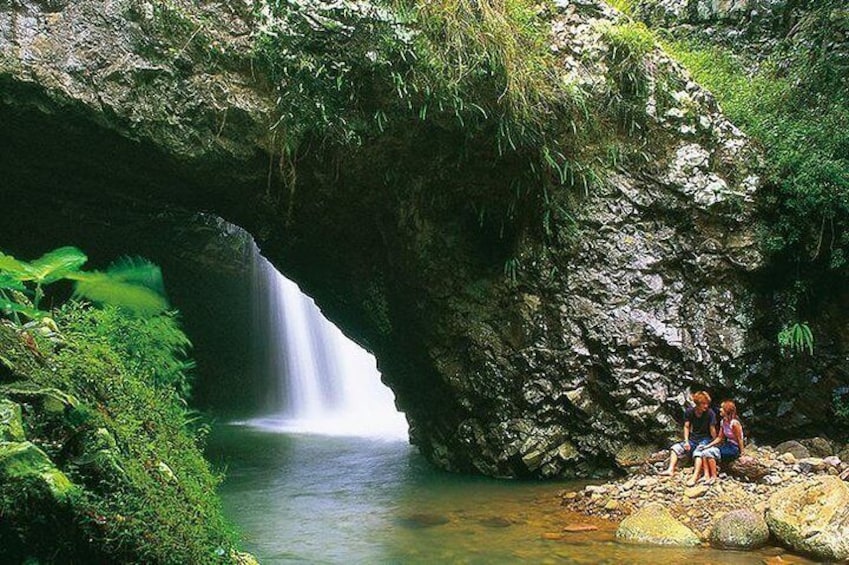 Natural Bridge Glow Worm Night Tour from Gold Coast