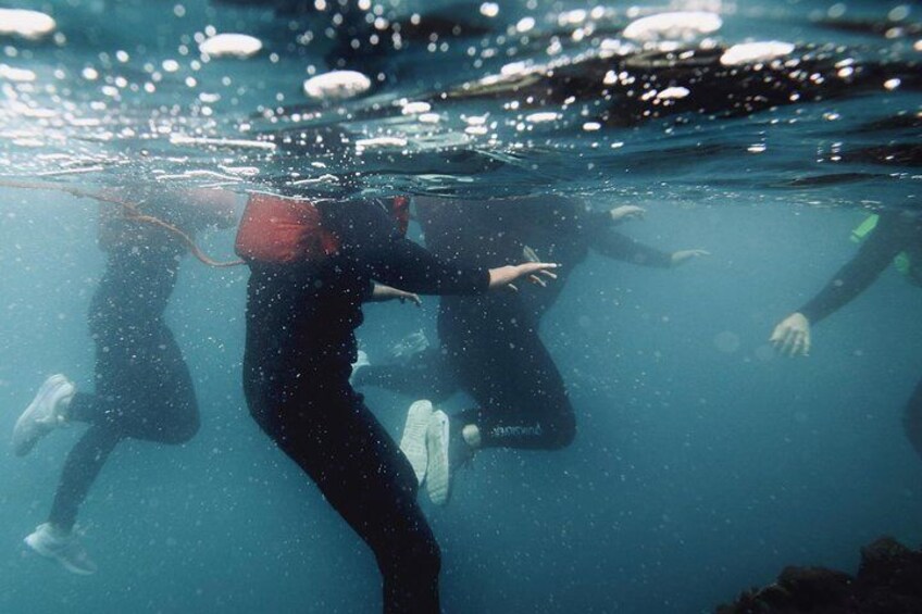 Coasteering