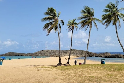 Beach time with time to eat and relax