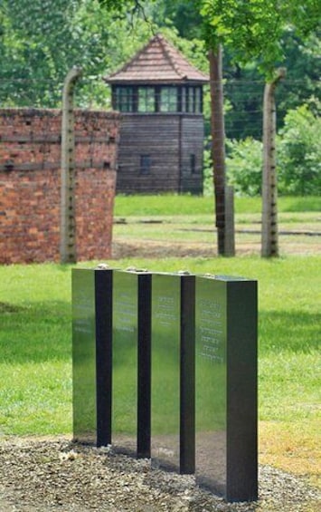Auschwitz-Birkenau Museum and Memorial Guided Tour from Krakow
