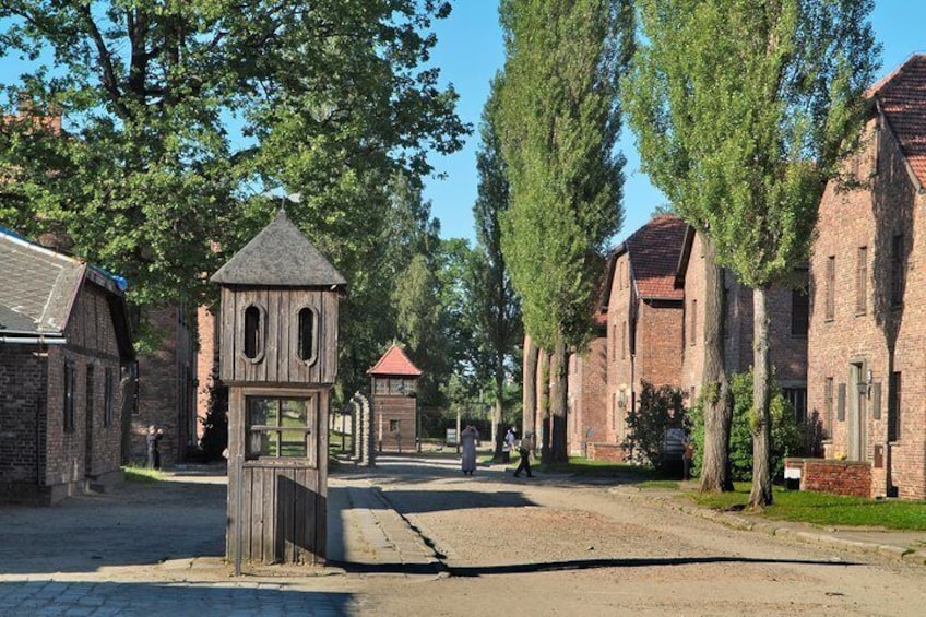 Auschwitz-Birkenau Museum and Memorial Guided Tour from Krakow