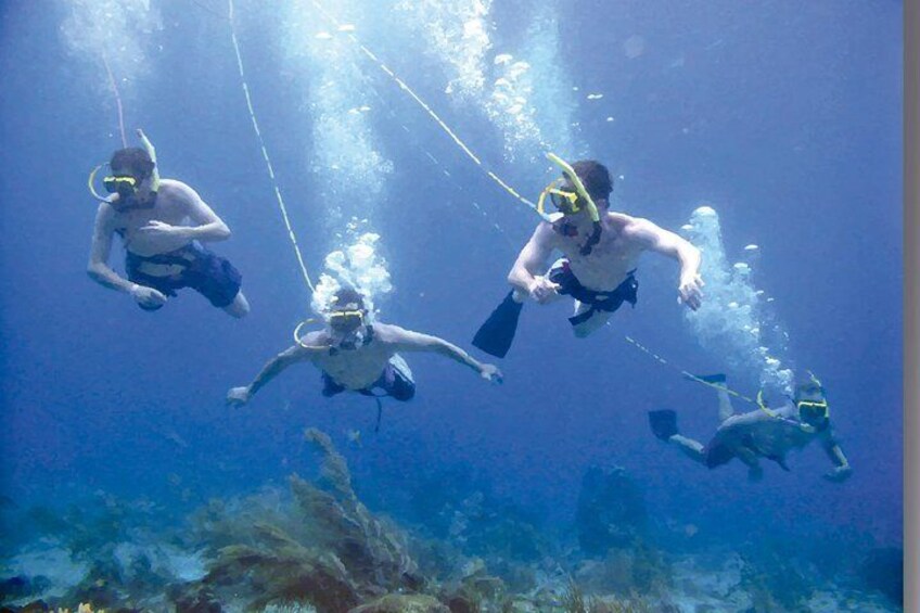 Punta Cana Party Cruise with Snorkeling, Hooka Diving and Parasailing